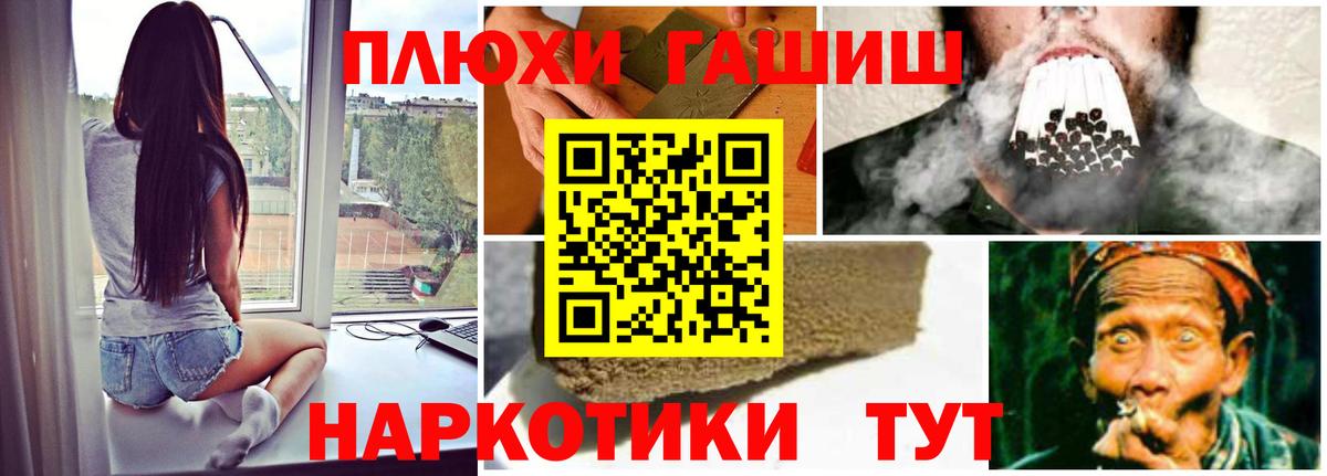 ГАШИШ Premium Сосновый Бор