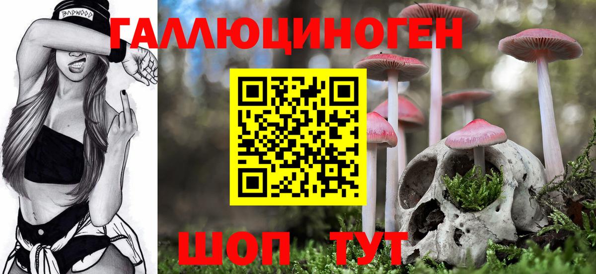 Сосновый Бор  Псилоцибиновые грибы Magic Shrooms  Вход с VPN 